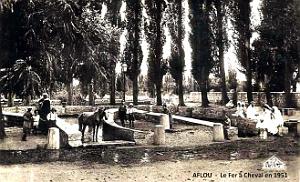 Aflou - Fer a Cheval - 1951